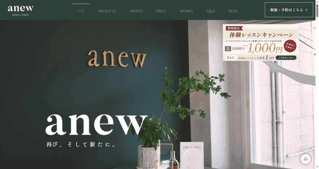 anew pilates studio