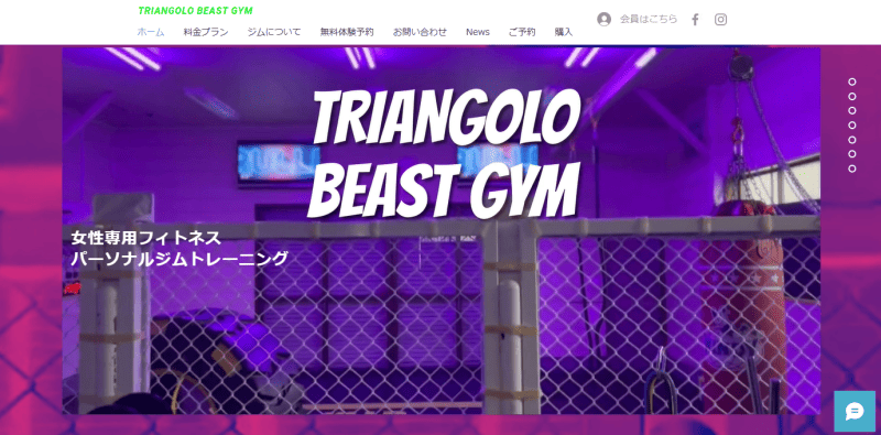 Triangolo Beast Gym