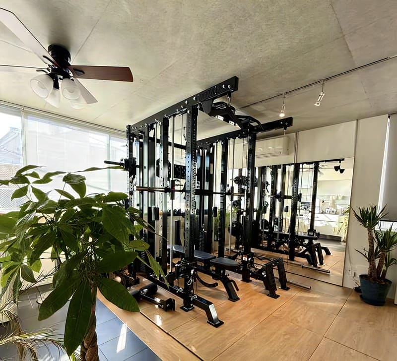 studio ELVA